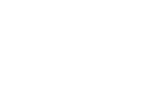 Partner's logo