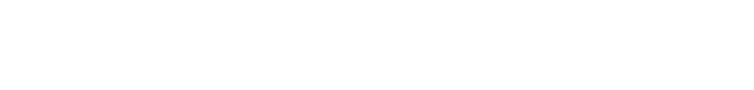 Partner's logo