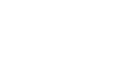 Partner's logo