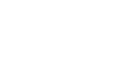 Partner's logo