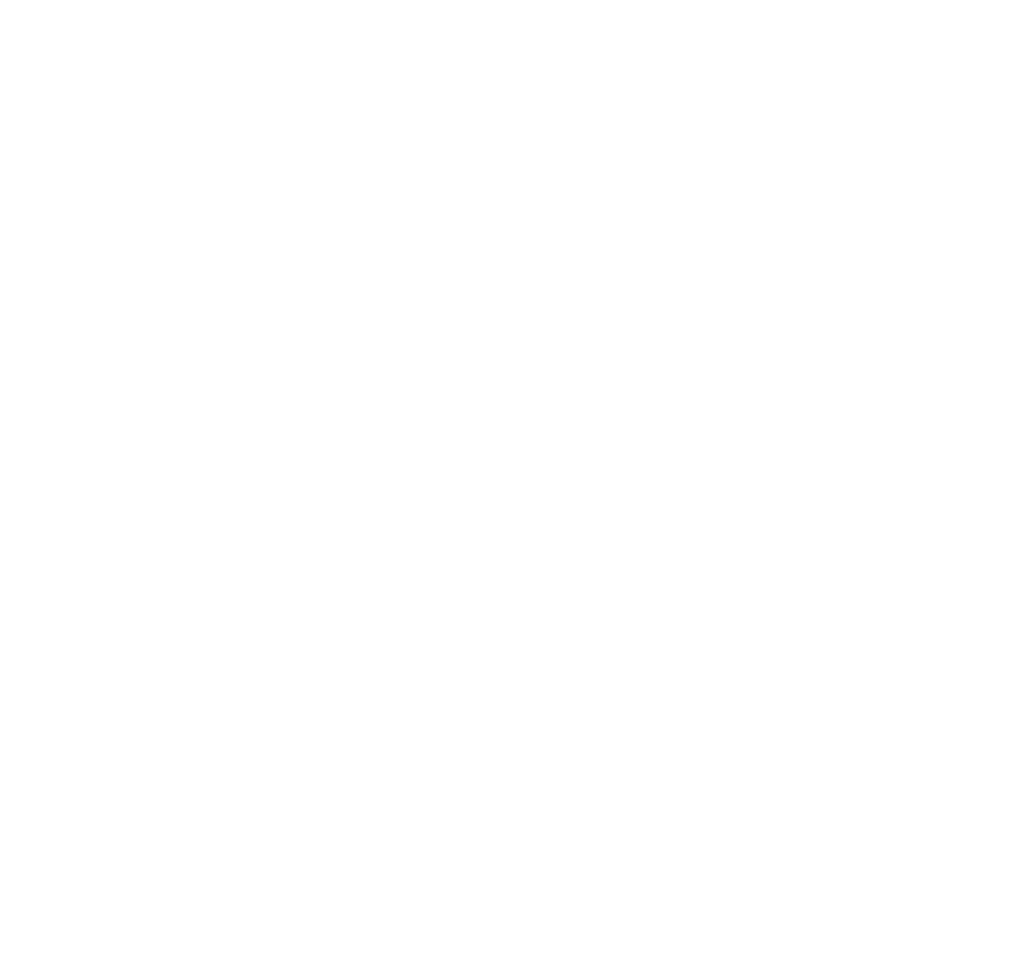 Partner's logo