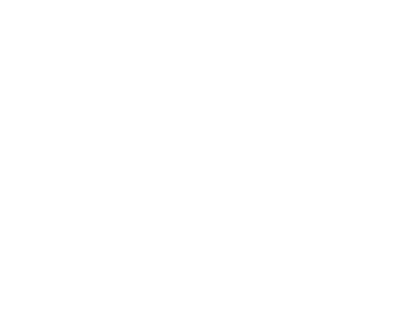 Partner's logo