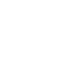 Partner's logo
