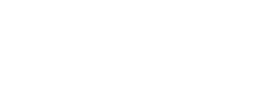 Partner's logo