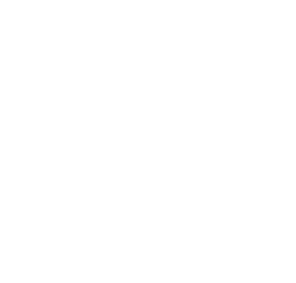 Partner's logo