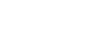 Partner's logo