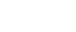 Partner's logo
