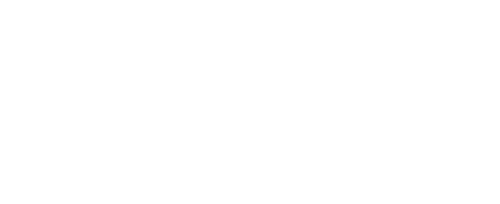Partner's logo