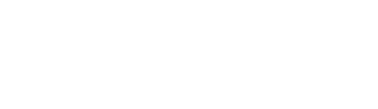 Partner's logo