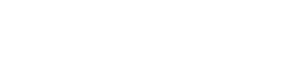 Partner's logo