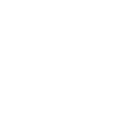 Partner's logo