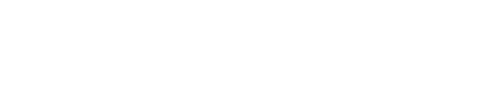 Partner's logo