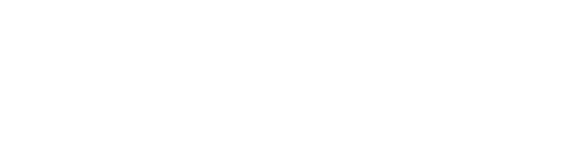 Partner's logo