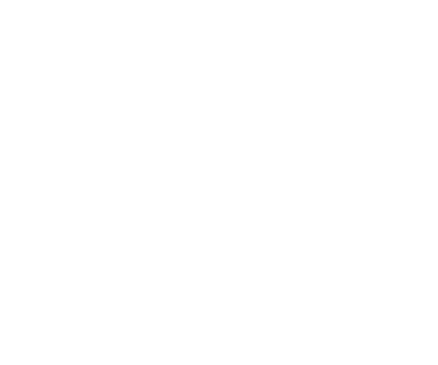 Partner's logo