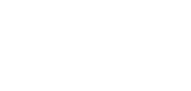 Partner's logo