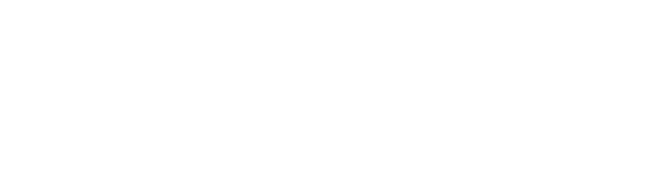 Partner's logo