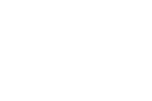 Partner's logo